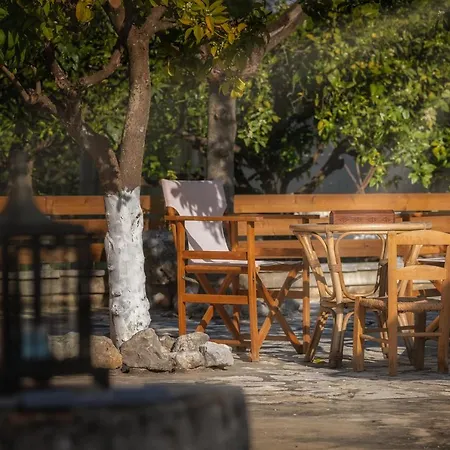 Casa Regina Holiday home Lithakia (Zakynthos)