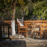 Casa Regina - 5min To - Peaceful Retreat بيت للعطل Lithakia (Zakynthos)